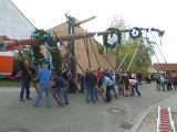 Maibaum_2016 (90).JPG